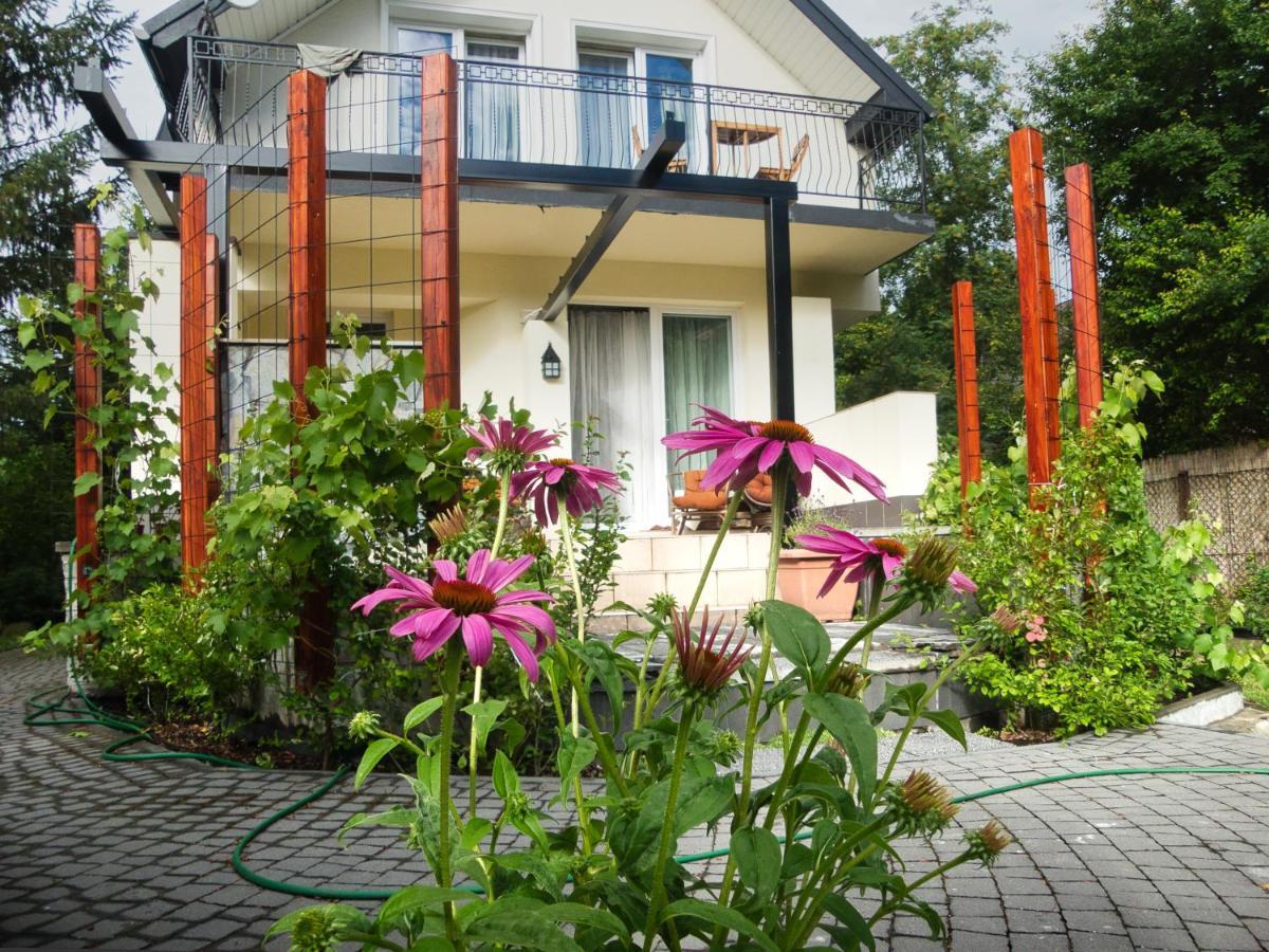 Villa Hasaba Krościenko Exterior foto